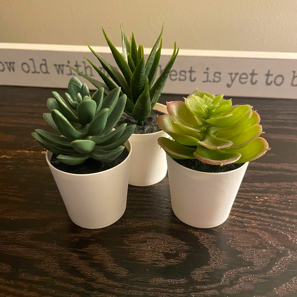 3 pack mini fake succulent plants